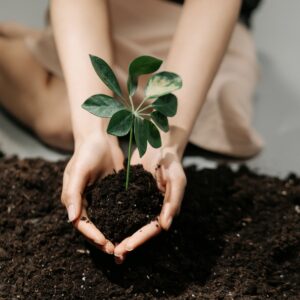 lãnh đạo tự thân, thay đổi bền vững, một hạt mầm