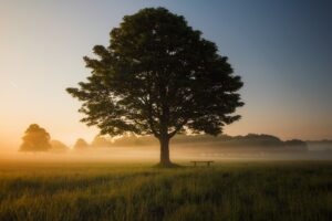 Phát triển năng lực coaching - mindset hay skillset mới là chìa khóa?